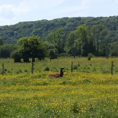 Dom wakacyjny Au Petit Bonheur Sivrotin *